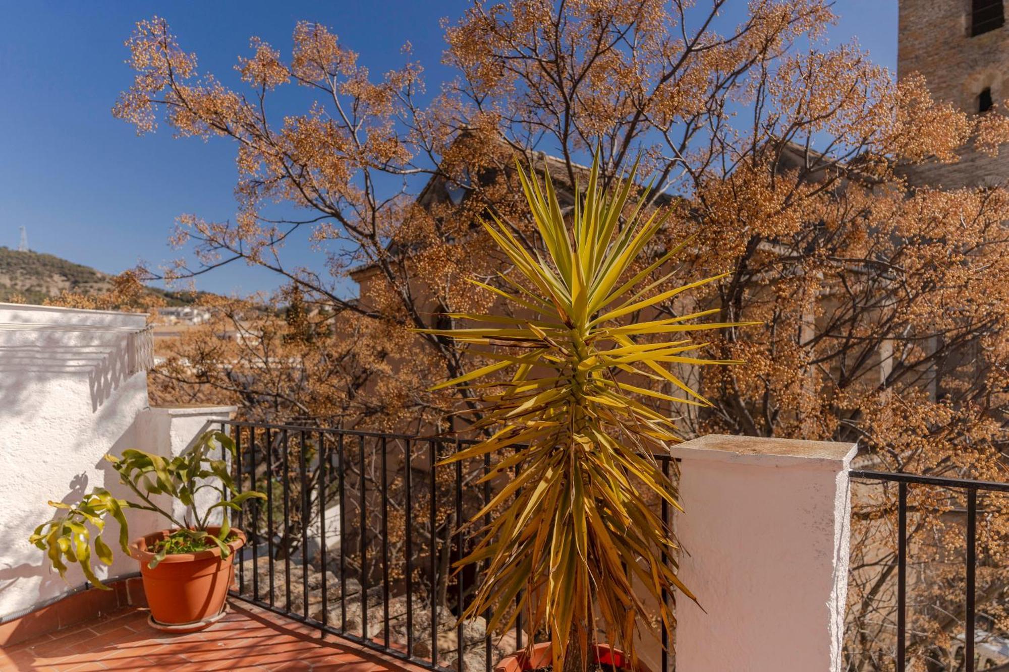 La Casita De La Plaza Βίλα Γρανάδα Εξωτερικό φωτογραφία